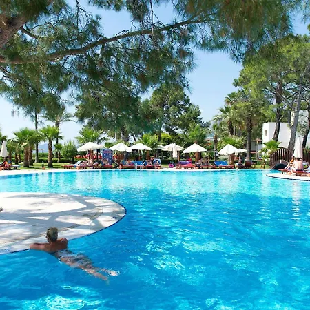 Seven Seas Life 5* كمر